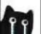 :11134: :11134: