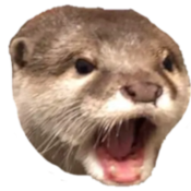 :SurprisedOtter: :SurprisedOtter: