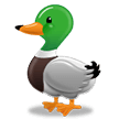 :samduck: :samduck: