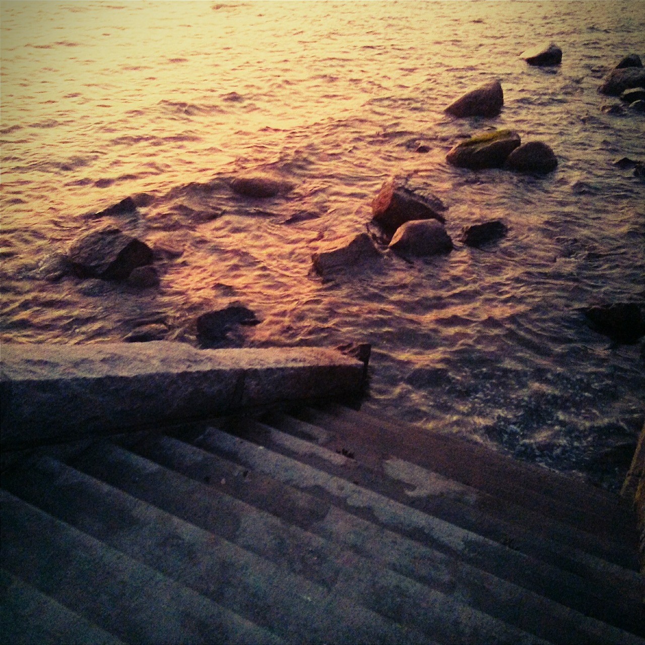Image/photo